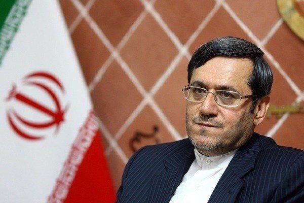 قشقاوی:جنایت صهیونیستها حاصل تقسیم کار شوم امریکا و اسرائیل است