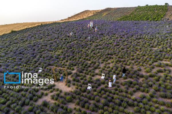 کشت فراسرزمینی ایران در اراضی قزاقستان افزایش می‌یابد
