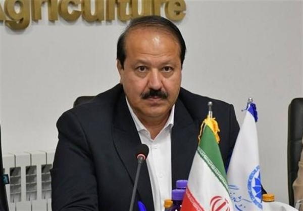  بخش خصوصی برای حفظ پایداری اقتصاد، در میدان حضور دارد 