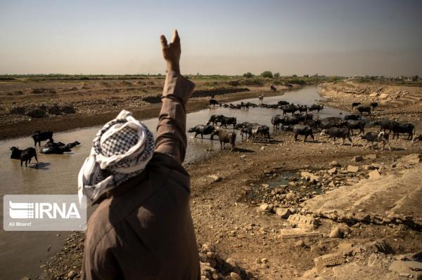تخریب عامدانه محیط زیست؛ تهدید امنیت زیستی و نقض تعهدات بین‌المللی است
