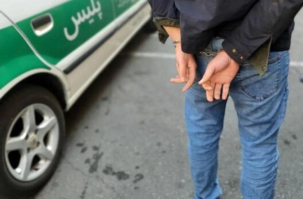   سناریوی شیطانی برای سرقت از سالمندان / زوج خلافکار در دام پلیس افتادند 