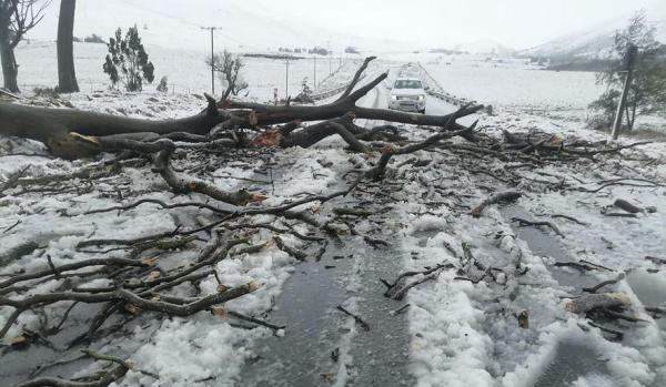 ۴۹ کشته بر اثر وقوع سیل در آفریقای جنوبی
