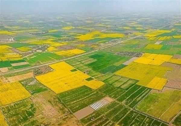  رفع تداخل ۵۴۶ هکتار از اراضی کشاورزی در استان قزوین 