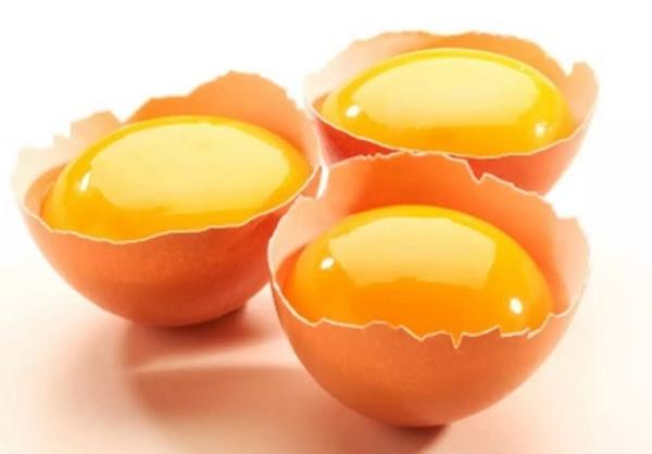 آیا مصرف زرده تخم مرغ در کهنسالی مضر است؟