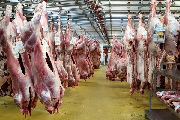 ابلاغیه جدید وزارت جهاد کشاورزی برای کالاهای اساسی/ برنامه دولت برای تامین گوشت و روغن چیست؟