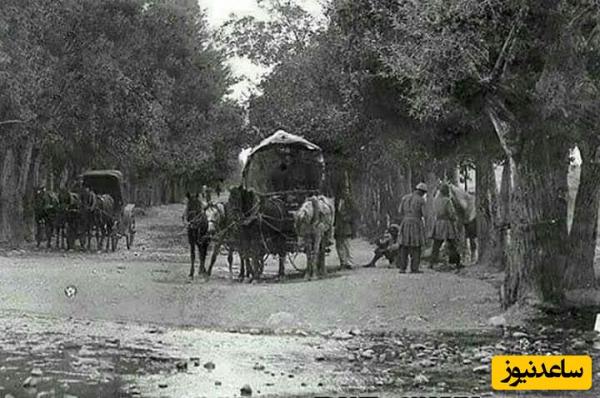 تصاویری ناب و قدیمی از شمال تهران مربوط به دوران قاجار؛ 100 سال پیش/ از منظره جالب شمیران تا امامزاده قاسم