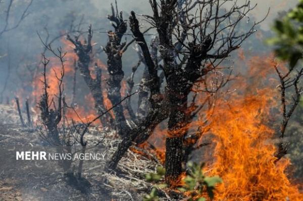آتش‌سوزی جنگل‌های روستای «بانروشان» ایلام مهار شد