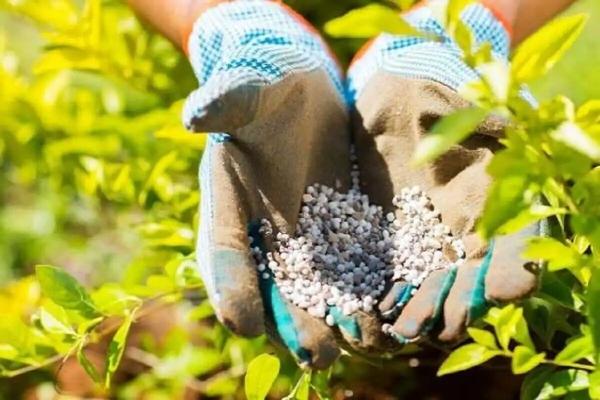 ۲ هزار و ۳۹۱ تن کود یارانه‌ای بین کشاورزان خراسان جنوبی توزیع شد