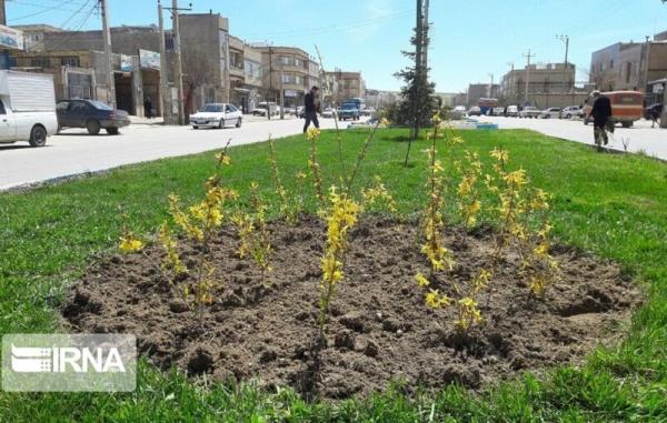 اجرای طرح جایگزینی گیاهان کم‌آب در ۶ هکتار فضای سبز بجنورد