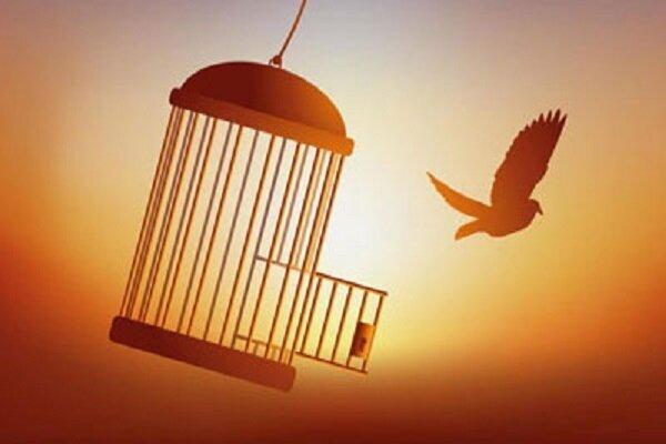 دعوت مداح اهل بیت برای شرکت در پویش «به عشق حسین می‌بخشم»