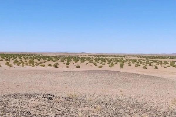 خراسان جنوبی از بحران بیابان‌زایی تا فرصت احیای سرزمین