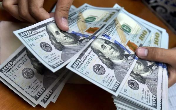   قیمت جدید دلار در عصر امروز - ۲۴ خرداد ۱۴۰۴ 