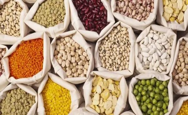 قیمت حبوبات غیر شرکتی در میادین میوه و تره بار تهران اعلام شد