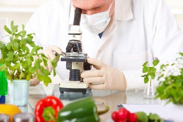 شناسایی ظرفیت‌ بازار دانش‌بنیان‌ها در حوزه کشاورزی و صنایع غذایی