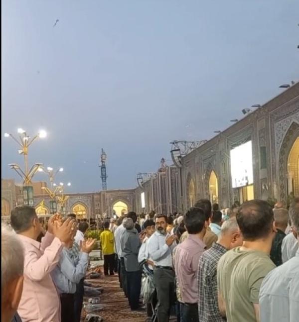 ریز پرنده ها در مشهد | ویدئوی اختصاصی همشهری از حرم مطهر رضوی