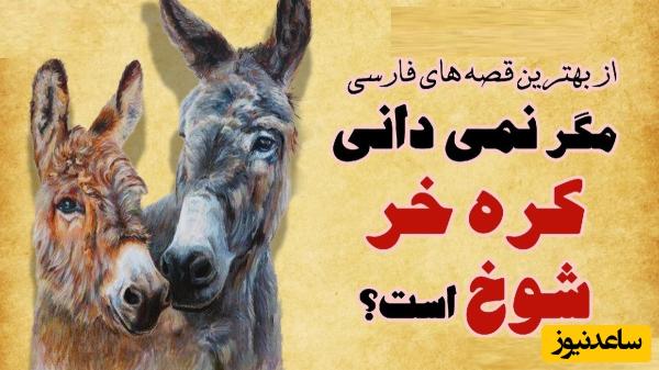 داستان کوتاه قدیمی و خنده‌دار آسیابان کره خر شیطون/ مگه نمی‌دانی که کره خر شوخه😂