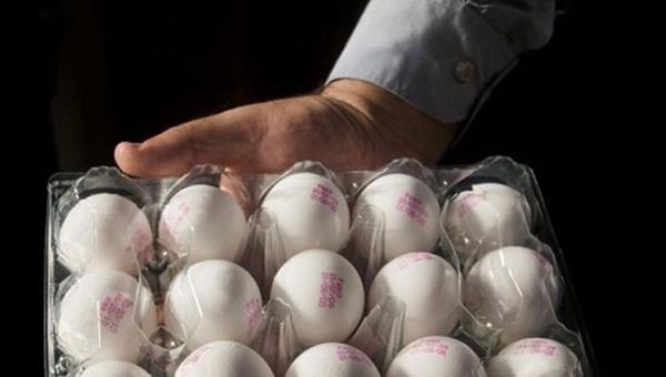  گرمای تابستان، قیمت تخم‌مرغ را کاهش داد: هر کیلو ۴۰ هزار تومان شد 