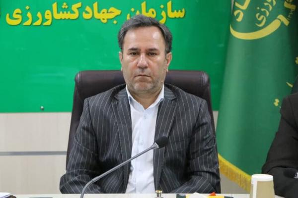 ۲۲ هزار هکتار از باغات و اراضی کشاورزی لرستان در معرض خشکی هستند