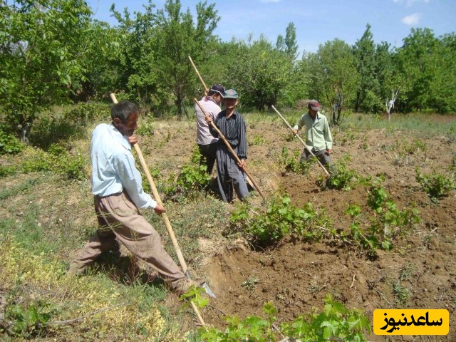 خلاقیت تحسین‌برانگیز و خنده‌دار &quot;اوستای هنرمند&quot; در تبدیل مواد بازیافتی به بیل انگری بردز حماسه آفرید/ منم قول میدم با این بیل از صبح تا شب کشاورزی کنم😂