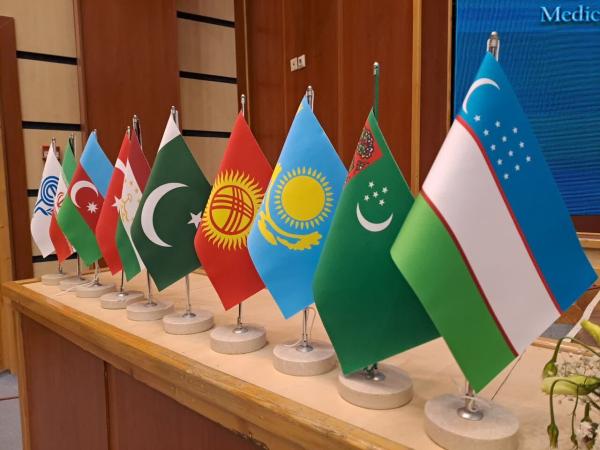 معاون وزیر بهداشت: ایران پیشقراول سلامت کشورهای عضو اکو است