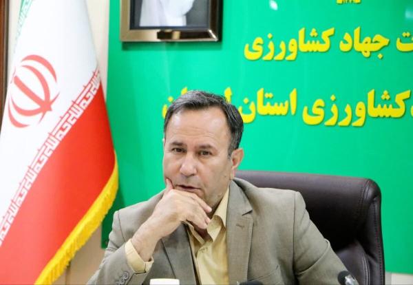 وضعیت مناسب گوشت قرمز و گوشت مرغ لرستان نسبت به استان های مجاور