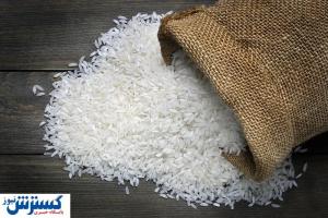 قیمت برنج بازار را به لرزه انداخت (۹ تیر)