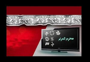 اعلام ویژه برنامههای تلویزیون در ایام محرم