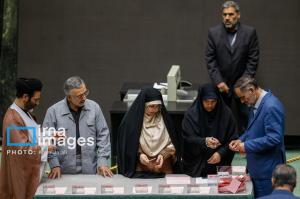 پیش بینی برخی نمایندگان: مجلس به مدنی‌زاده رای اعتماد می دهد