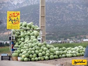 خلاقیت مشاغل؛ پاسخ غافلگیرکننده و دندانشکن هندوانهفروش باهوش در برابر گلایه مشتری ناراضی+ویدیو/ تو باید وکیل میشدی حیف این همه استعداد🤣