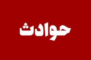 سرایدار باغ ویلا، صاحبخانه را کشت و جسدش را زیر علفها پنهان کرد