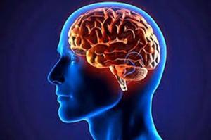 عادت مخربی که مغز را به پیری زودرس مبتلا میکند!