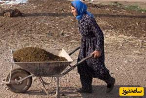 خلاقیت تحسینبرانگیز و خندهدار "کشاورز تبریزی" در تبدیل وان حمام به باغی از بهشت حماسه آفرید/ آدم کیف میکنه از دیدن این همه زیبایی👌