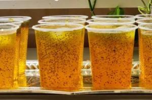 هر سال شربت نذری مونو اینجوری درست میکنیم و تخم شربتی ش اصلا ته نشین نمیشه!