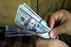 دلار جهانی به کف قیمت چند ساله سقوط کرد