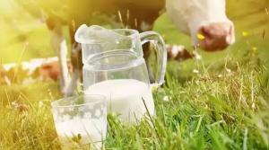 پنیر دوست قلب ؟ مطالعه جدید میگوید: بله، اگر نوع درستش را بخورید!