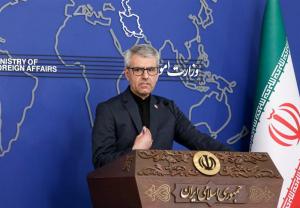 بقائی: مقامات آلمانی از ادبیات هیتلر استفاده میکنند/ قانون مجلس لازم الاجرا است
