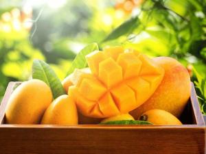 انبه؛ میوهای خوشطعم با خاصیت دارویی برای زنان یائسه!