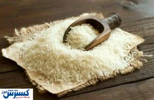 ناجی بازار برنج از راه رسید | قیمت برنج ارزان می شود؟