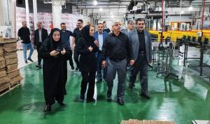 معاون استاندار: واحدهای تولیدی گلستان با همه ظرفیت مشغول فعالیت هستند