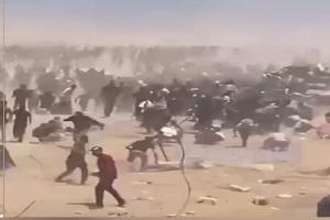 تله های مرگ در غزه همچنان قربانی می گیرد