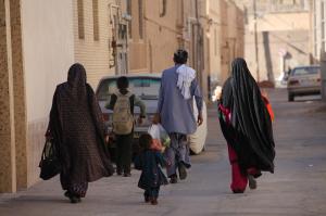 چه کسانی راه را برای نفوذ باز کردند؟ | مهاجران غیرمجاز در شبکه نفوذ دشمن