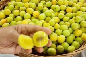 آلوها را اینگونه بخورید!! برای یک عمر سالم و شاد خواهید بود