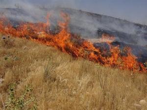آتش زدن بقایان کشاورزی اراضی شهرستان ری ممنوع و مغایر باقانون هوای پاک است